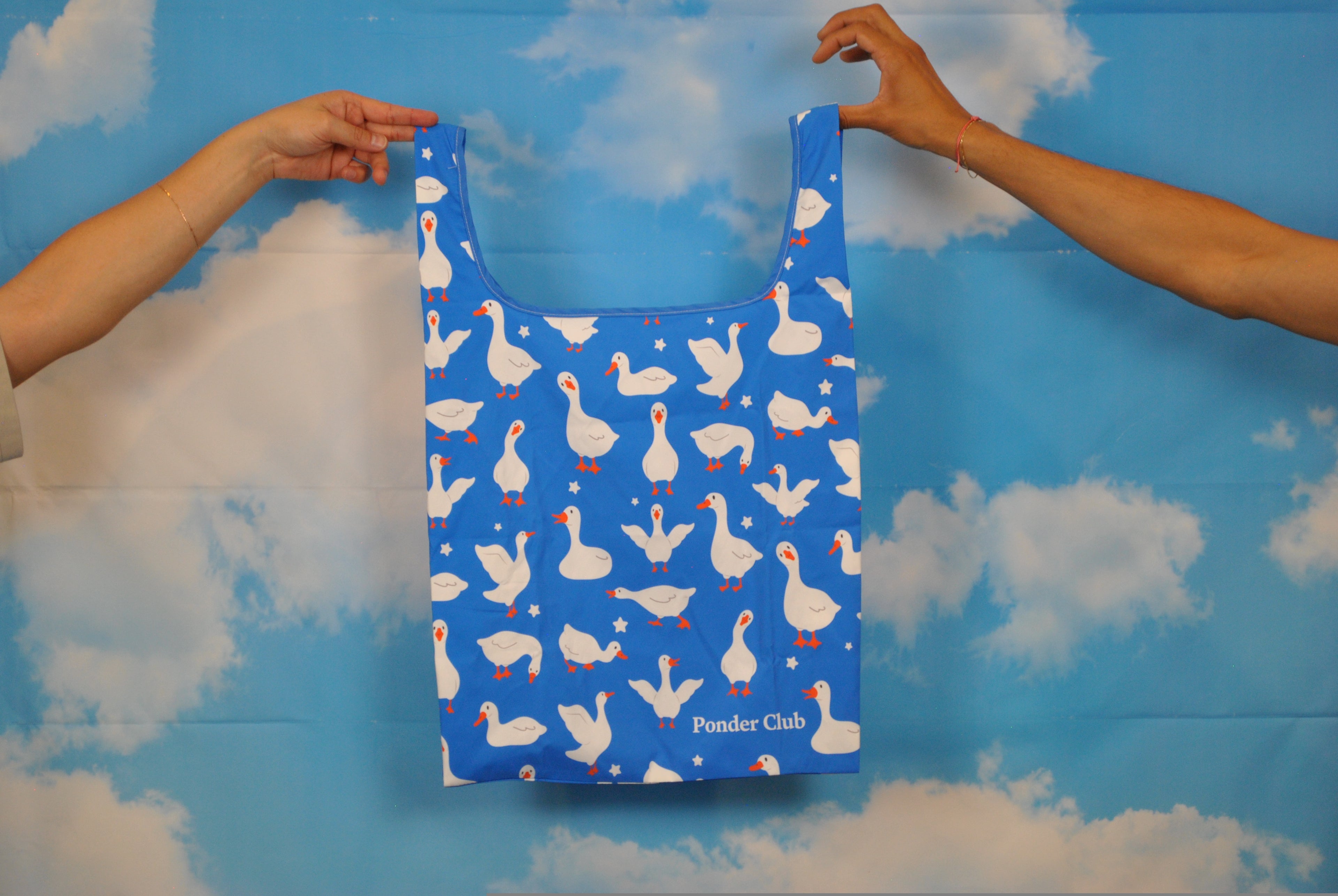 The Gaggle Grocery Bag